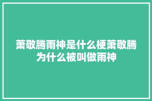 萧敬腾雨神是什么梗萧敬腾为什么被叫做雨神
