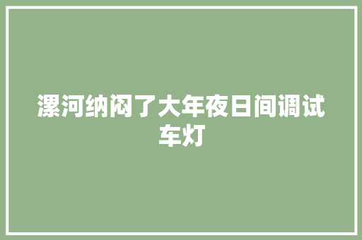 漯河纳闷了大年夜日间调试车灯