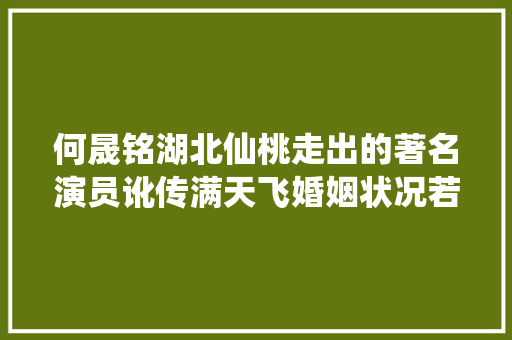 何晟铭湖北仙桃走出的著名演员讹传满天飞婚姻状况若何