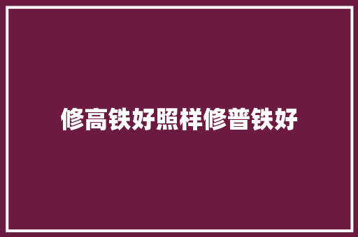 修高铁好照样修普铁好