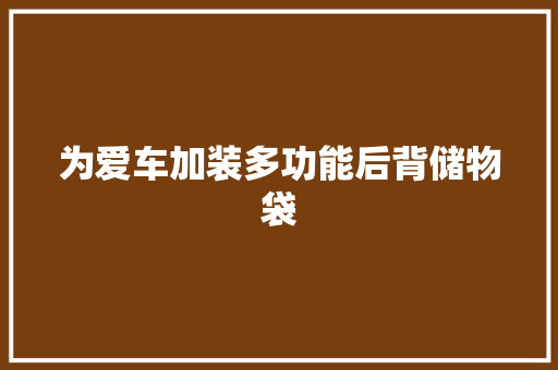 为爱车加装多功能后背储物袋