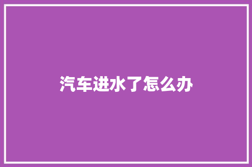汽车进水了怎么办 汽车知识
