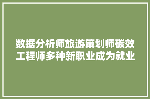 数据分析师旅游策划师碳效工程师多种新职业成为就业新选择