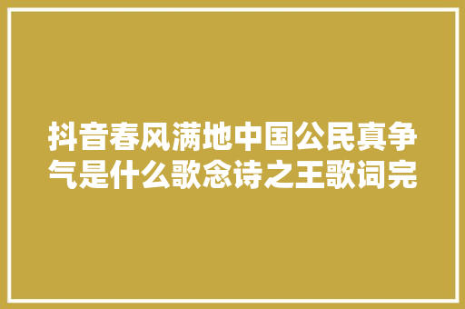 抖音春风满地中国公民真争气是什么歌念诗之王歌词完整版