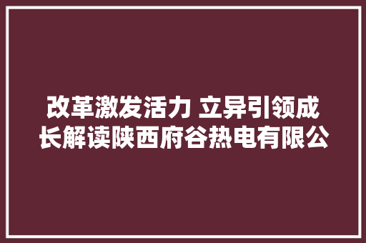改革激发活力 立异引领成长解读陕西府谷热电有限公司成功密码