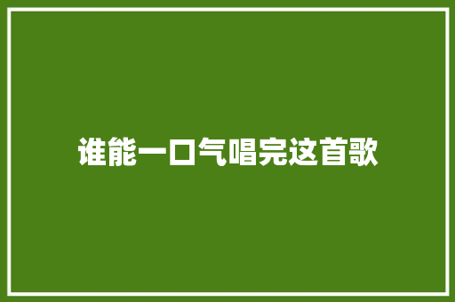 谁能一口气唱完这首歌