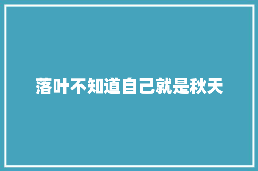 落叶不知道自己就是秋天