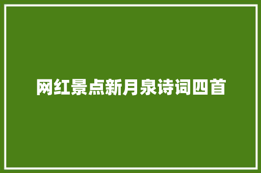 网红景点新月泉诗词四首