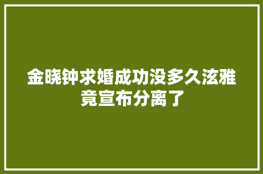 金晓钟求婚成功没多久泫雅竟宣布分离了