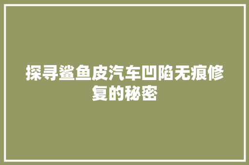 探寻鲨鱼皮汽车凹陷无痕修复的秘密