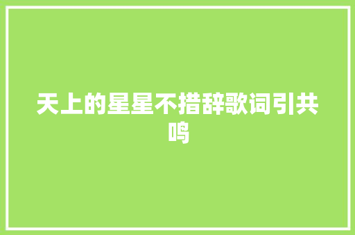 天上的星星不措辞歌词引共鸣