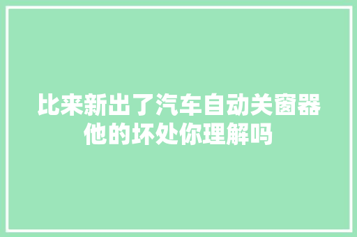 比来新出了汽车自动关窗器他的坏处你理解吗
