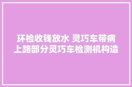 环检收钱放水 灵巧车带病上路部分灵巧车检测机构造假查询访问