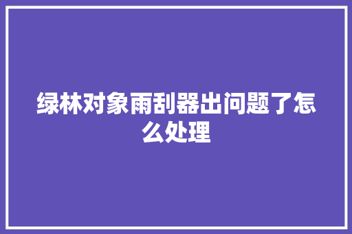 绿林对象雨刮器出问题了怎么处理