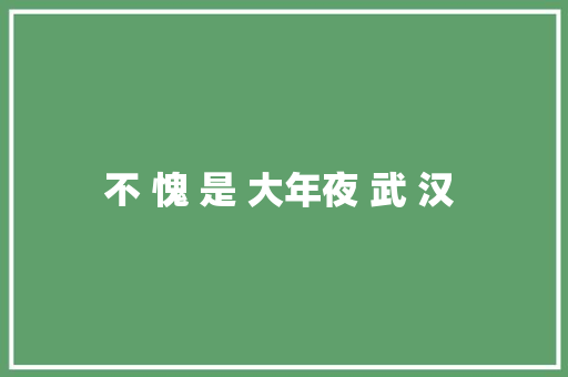 不 愧 是 大年夜 武 汉 