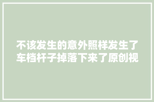 不该发生的意外照样发生了车档杆子掉落下来了原创视频