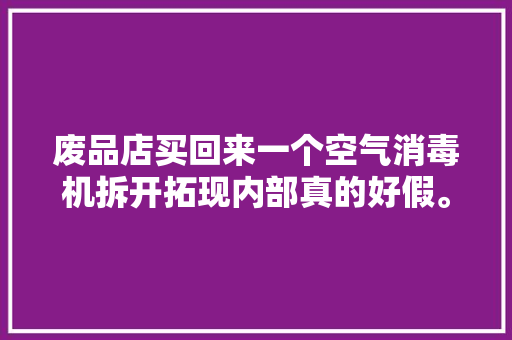 废品店买回来一个空气消毒机拆开拓现内部真的好假。