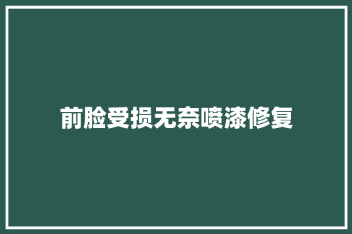 前脸受损无奈喷漆修复