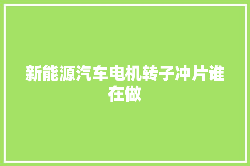 新能源汽车电机转子冲片谁在做 汽车知识
