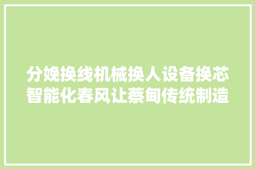 分娩换线机械换人设备换芯智能化春风让蔡甸传统制造企业焕发新生