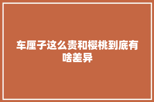 车厘子这么贵和樱桃到底有啥差异