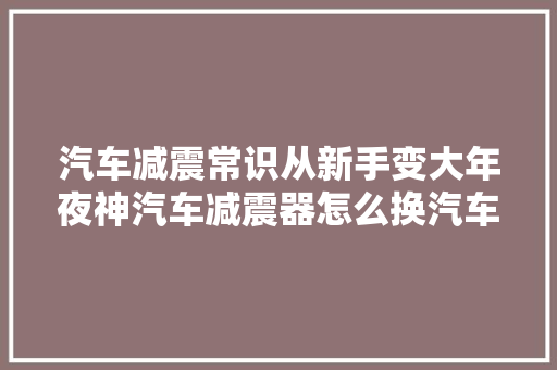 汽车减震常识从新手变大年夜神汽车减震器怎么换汽车减震器怎么装