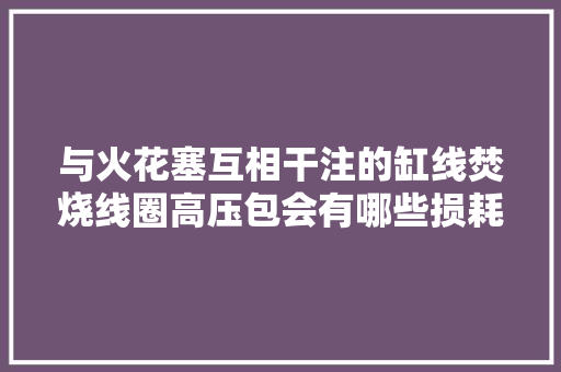 与火花塞互相干注的缸线焚烧线圈高压包会有哪些损耗和损坏