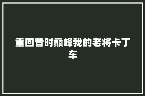 重回昔时巅峰我的老将卡丁车