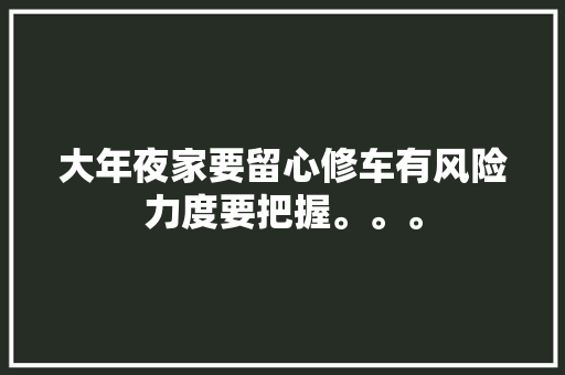 大年夜家要留心修车有风险力度要把握。。。