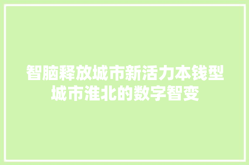 智脑释放城市新活力本钱型城市淮北的数字智变