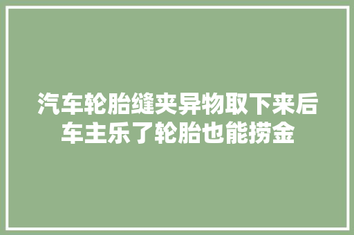 汽车轮胎缝夹异物取下来后车主乐了轮胎也能捞金 汽车知识