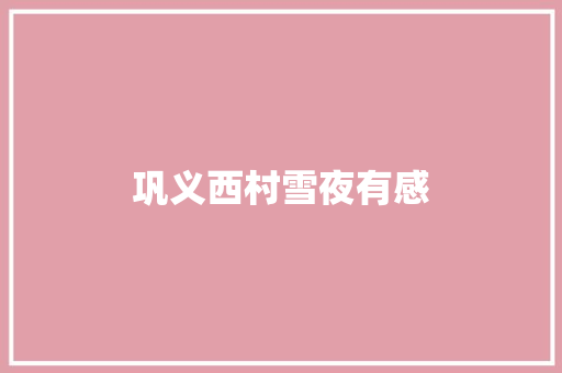 巩义西村雪夜有感