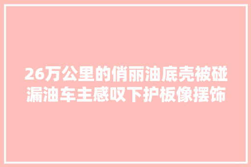 26万公里的俏丽油底壳被碰漏油车主感叹下护板像摆饰一样
