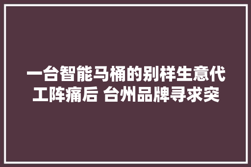 一台智能马桶的别样生意代工阵痛后 台州品牌寻求突围