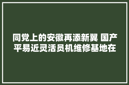 同党上的安徽再添新翼 国产平易近灵活员机维修基地在芜湖开工