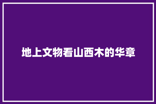 地上文物看山西木的华章