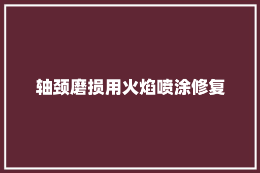 轴颈磨损用火焰喷涂修复