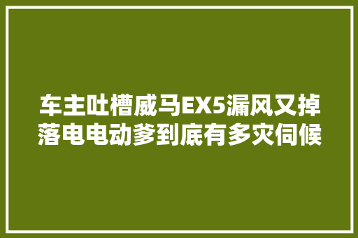 车主吐槽威马EX5漏风又掉落电电动爹到底有多灾伺候