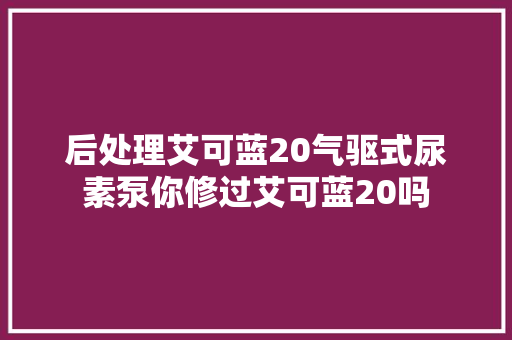 后处理艾可蓝20气驱式尿素泵你修过艾可蓝20吗