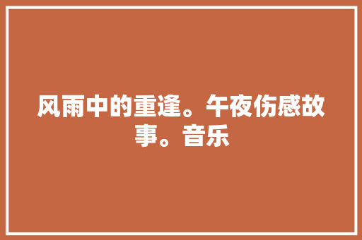 风雨中的重逢。午夜伤感故事。音乐