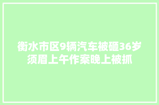 衡水市区9辆汽车被砸36岁须眉上午作案晚上被抓