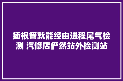 插根管就能经由进程尾气检测 汽修店俨然站外检测站