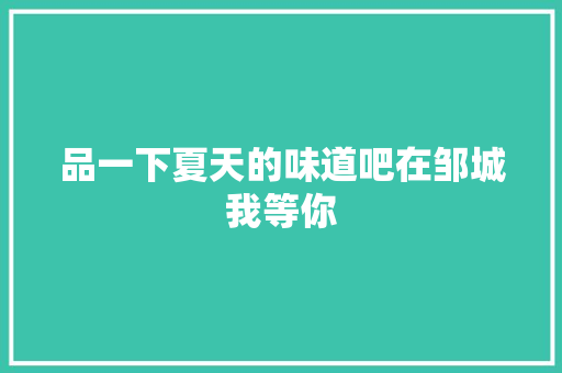 品一下夏天的味道吧在邹城我等你