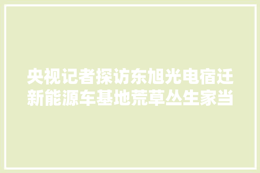 央视记者探访东旭光电宿迁新能源车基地荒草丛生家当园管委会钱没到位