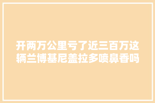 开两万公里亏了近三百万这辆兰博基尼盖拉多喷鼻香吗小哥草率了