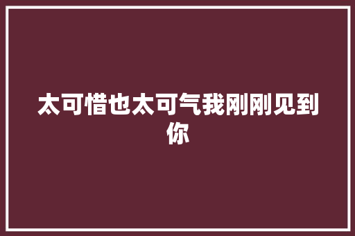 太可惜也太可气我刚刚见到你