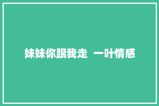 妹妹你跟我走  一叶情感
