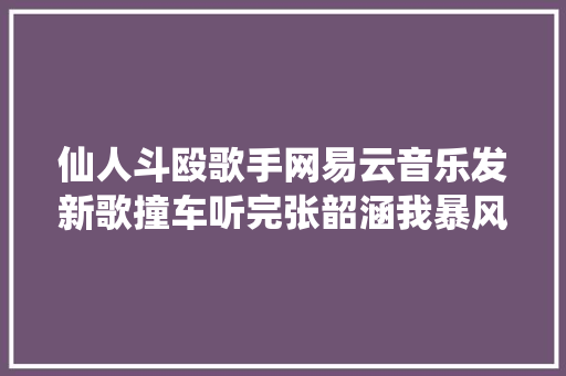 仙人斗殴歌手网易云音乐发新歌撞车听完张韶涵我暴风哭泣