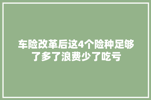 车险改革后这4个险种足够了多了浪费少了吃亏