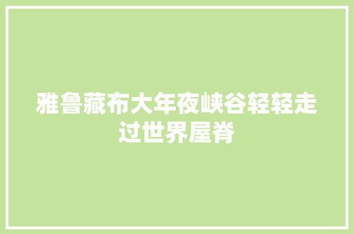 雅鲁藏布大年夜峡谷轻轻走过世界屋脊